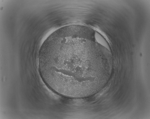 X0000076091383200610061630