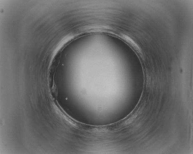 X0000076091384200610061630