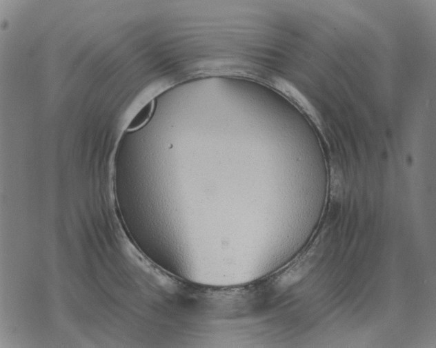 X0000076091386200610061630