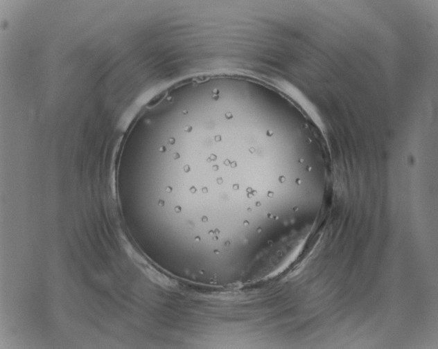 X0000076091388200610061630