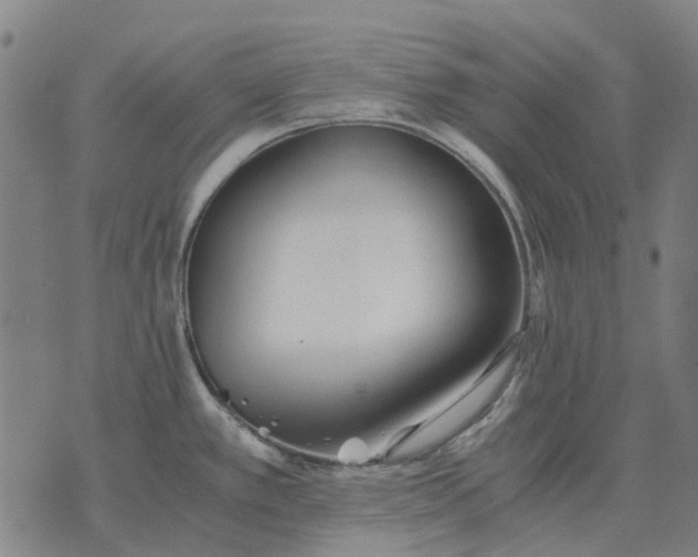 X0000076091389200610061630