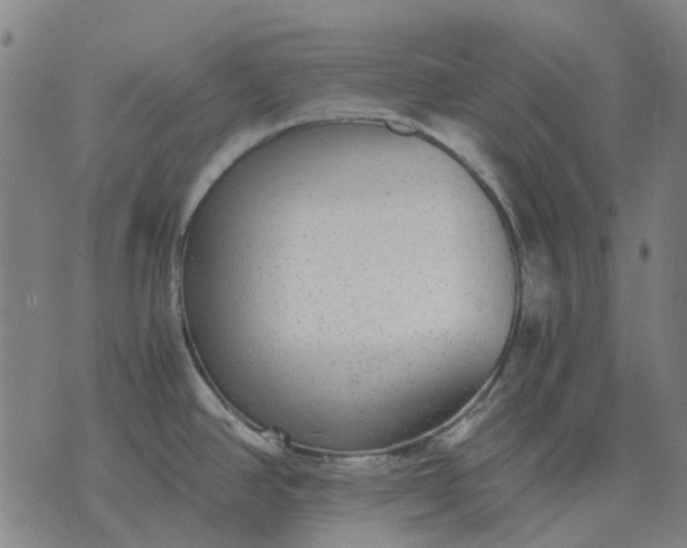 X0000076091390200610061630