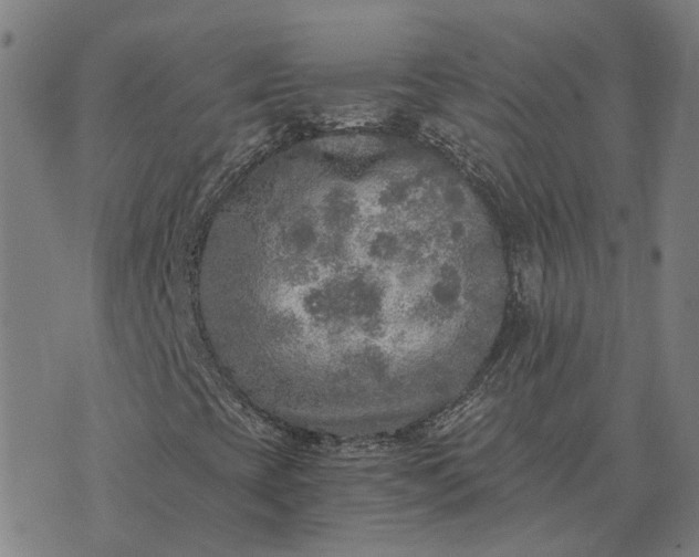 X0000076091393200610061629