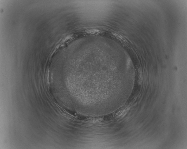 X0000076091394200610061629