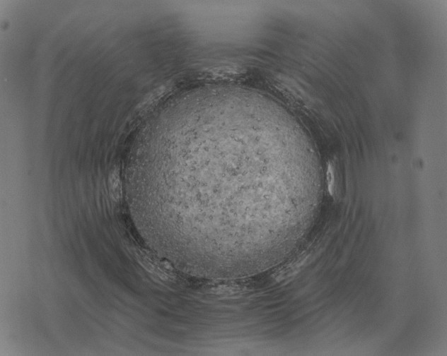 X0000076091395200610061629