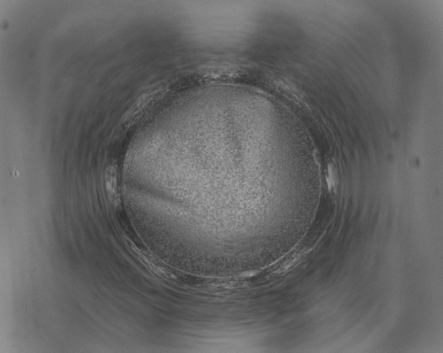 X0000076091396200610061629