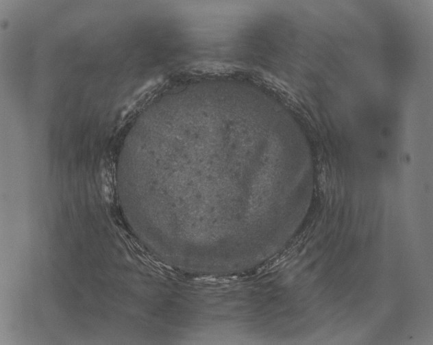 X0000076091397200610061629