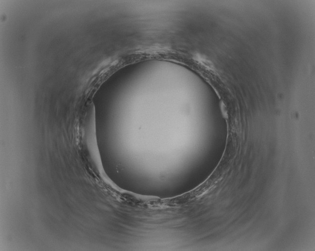 X0000076091398200610061629