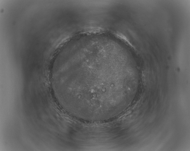 X0000076091399200610061629