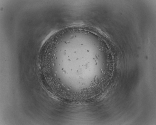 X0000076091400200610061629