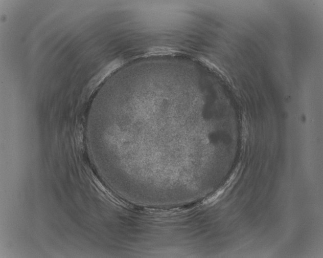 X0000076091401200610061629