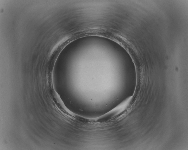 X0000076091402200610061629