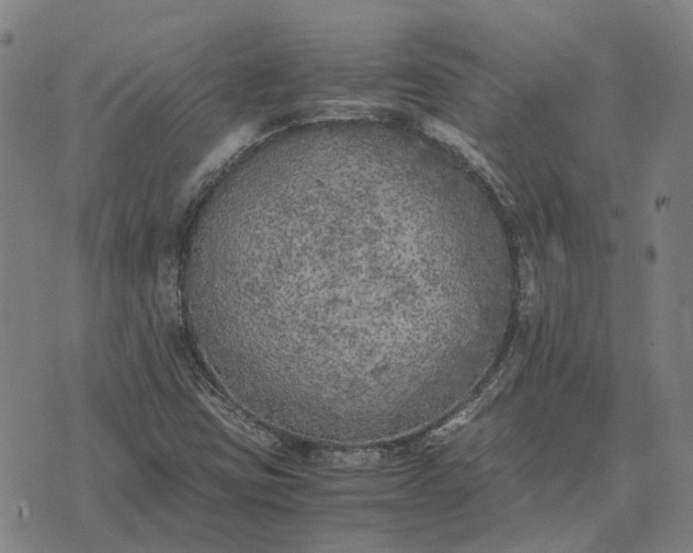 X0000076091403200610061629