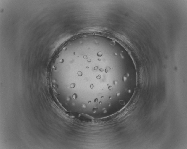 X0000076091404200610061629