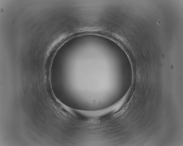 X0000076091406200610061629