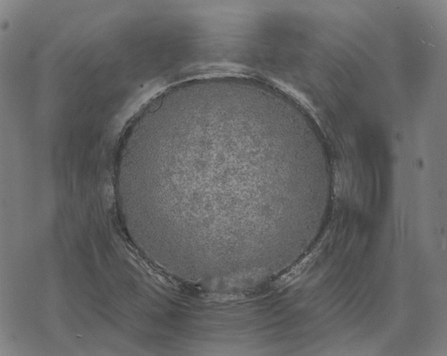 X0000076091407200610061629