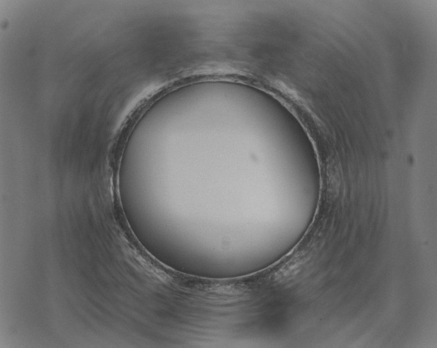 X0000076091408200610061629