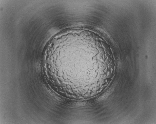 X0000076091409200610061629