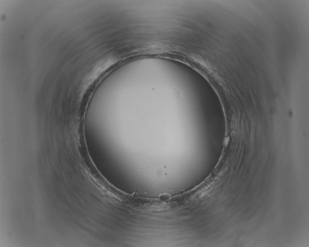 X0000076091410200610061629