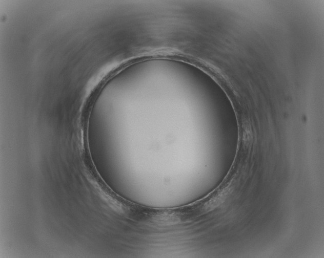 X0000076091414200610061630