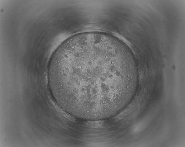 X0000076091415200610061630