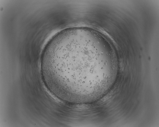 X0000076091416200610061630