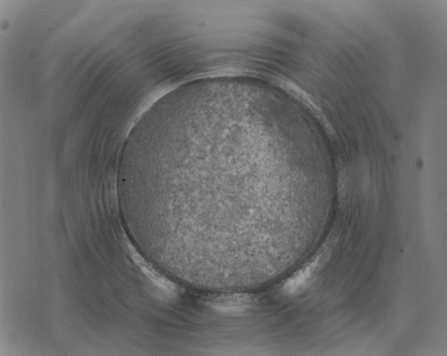 X0000076091417200610061630