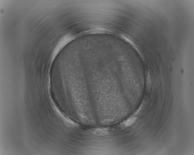 X0000076091418200610061630