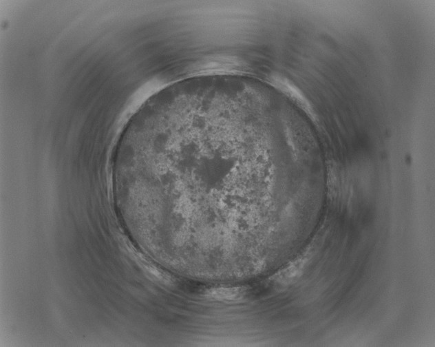 X0000076091419200610061630