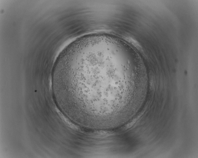 X0000076091420200610061630