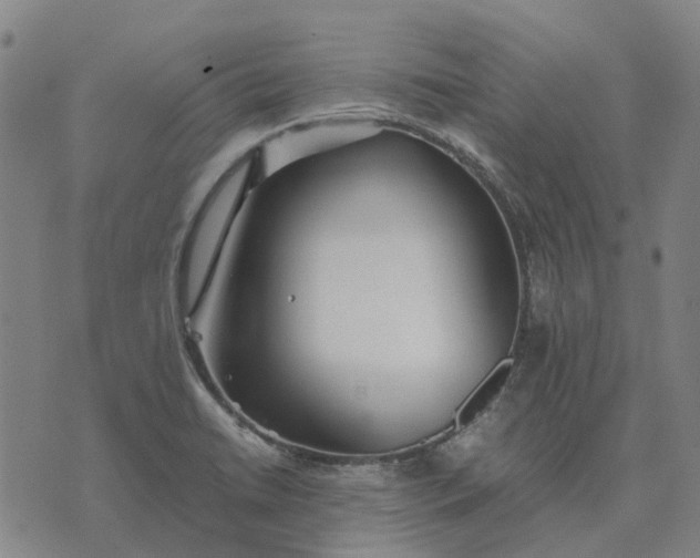 X0000076091422200610061630