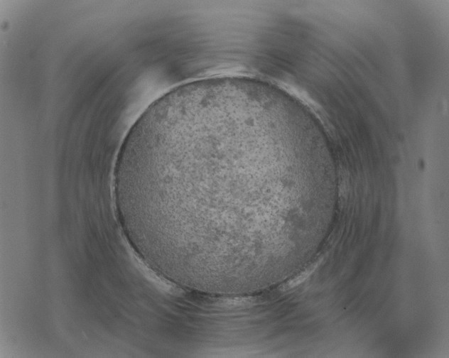 X0000076091423200610061630