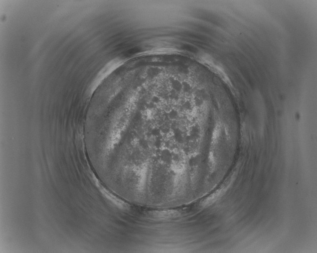 X0000076091425200610061630