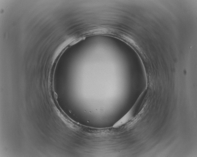 X0000076091426200610061630