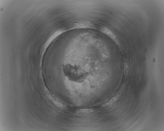 X0000076091427200610061630