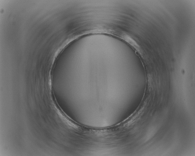 X0000076091428200610061630