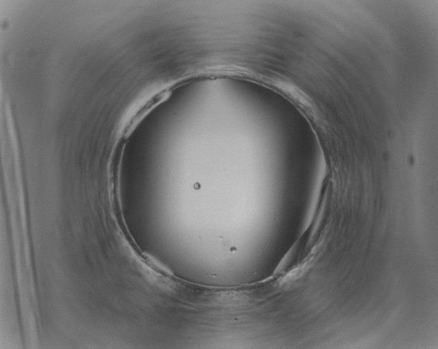 X0000076091430200610061630