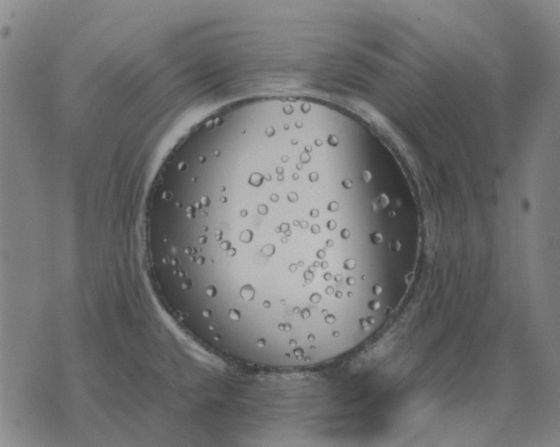 X0000076091432200610061630