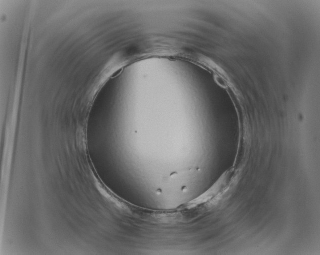 X0000076091433200610061630