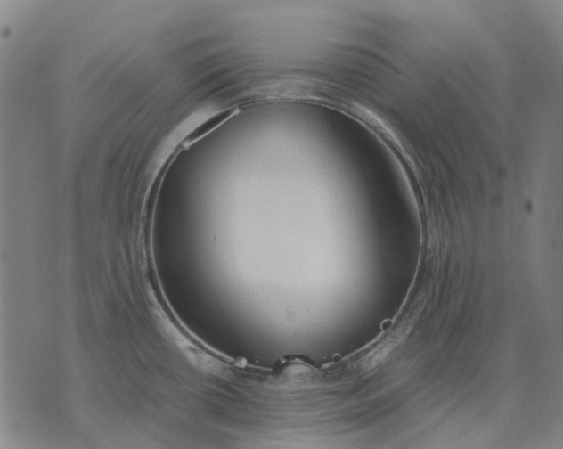 X0000076091434200610061630