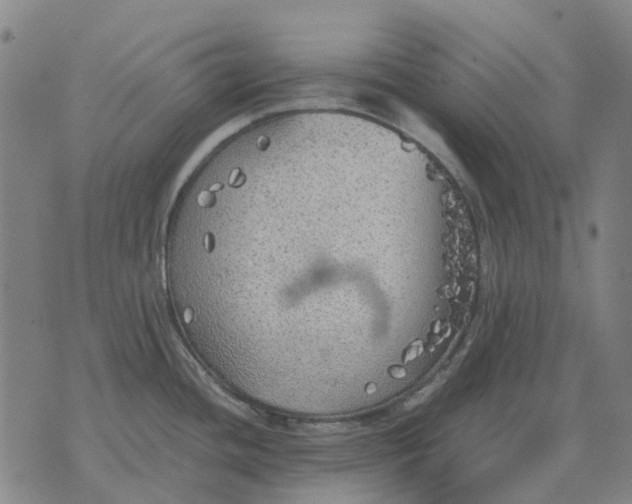 X0000076091436200610061630