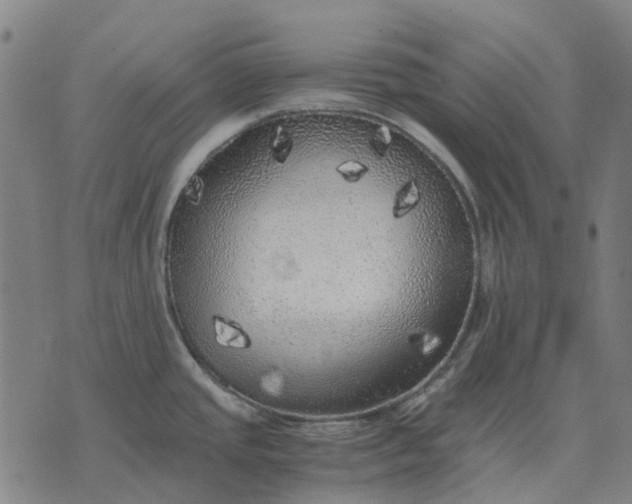 X0000076091437200610061630