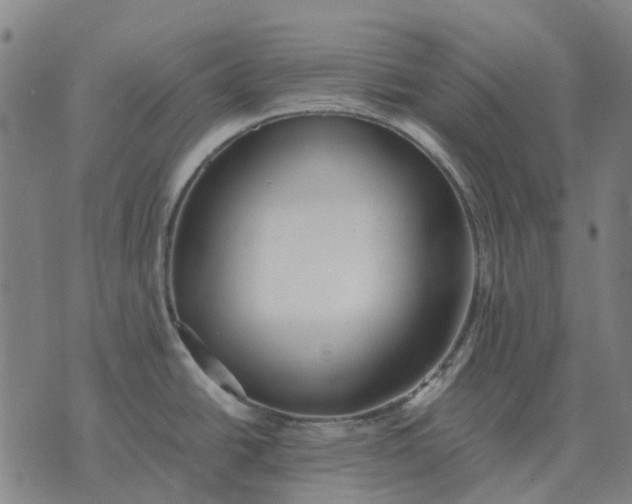 X0000076091438200610061630