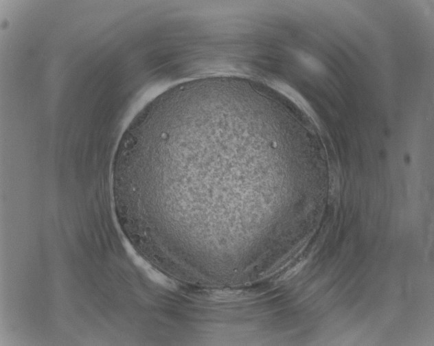 X0000076091439200610061630