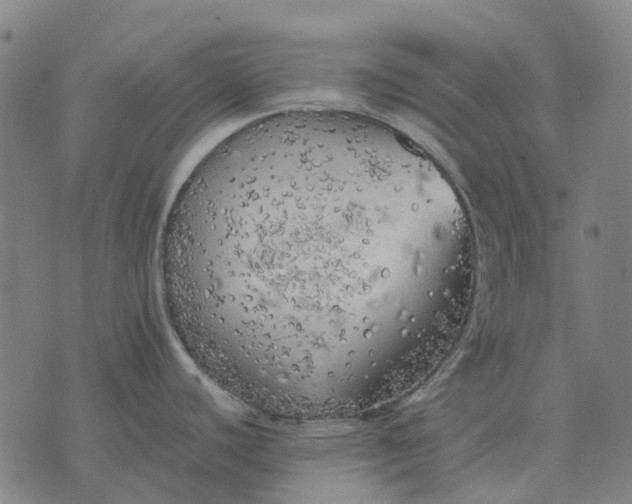 X0000076091440200610061630