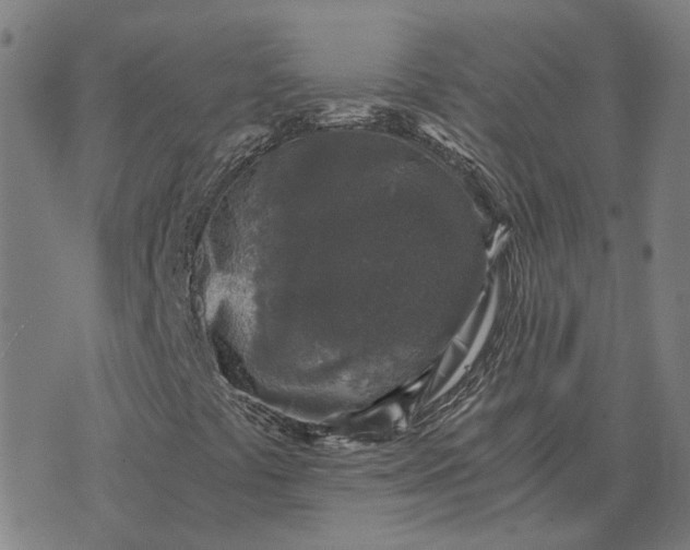 X0000076091441200610061629