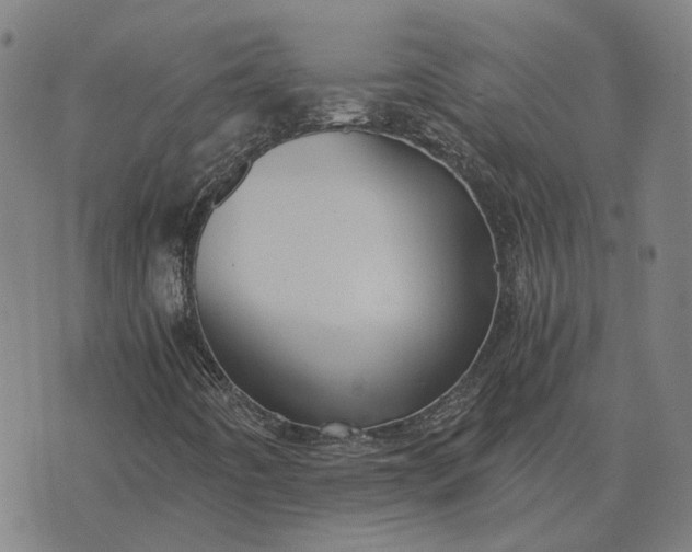 X0000076091442200610061629