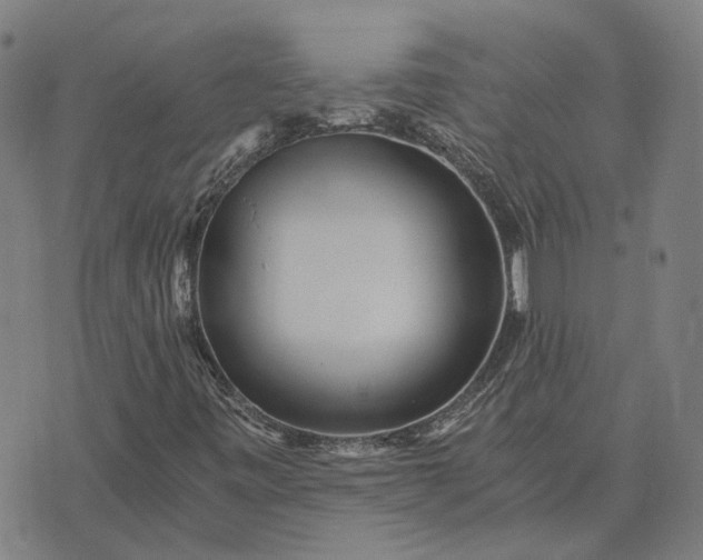 X0000076091443200610061629