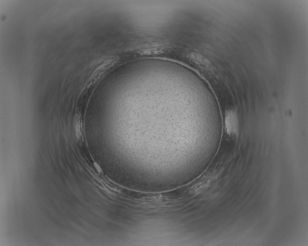 X0000076091444200610061629