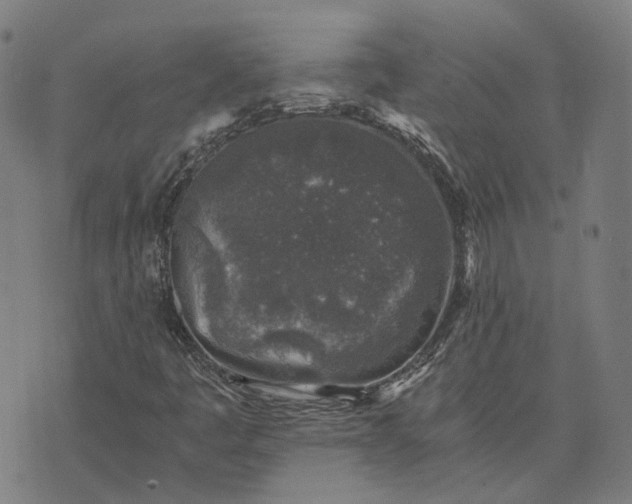 X0000076091445200610061629